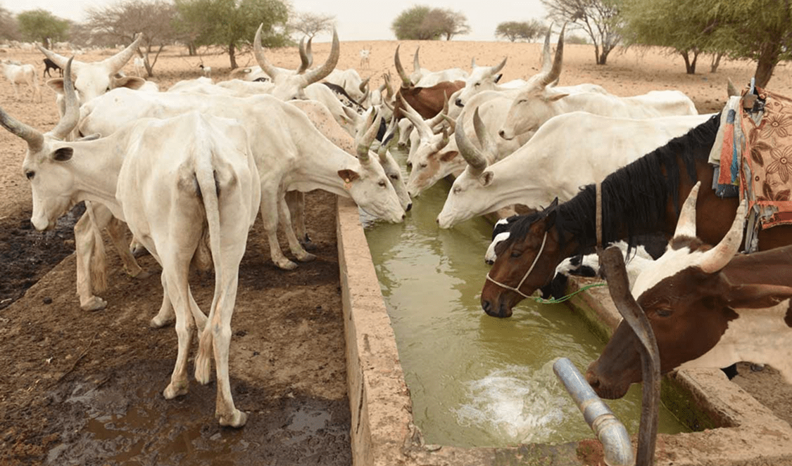 Sustainable Water Resources Managementin the Lake Chad Basin (GIZ ...