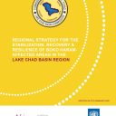 Regional Strategy for the Stabilization, Recovery & Resilience (RS-SRR 2.0)