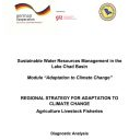 Sustainable Management of Water Resources In the Lake Chad Basin